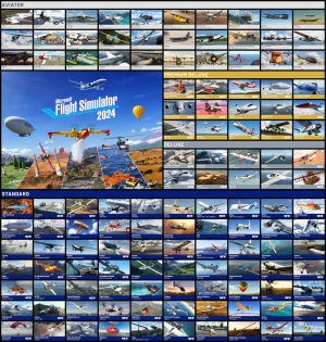 Microsoft Flight Simulator 2024 1
